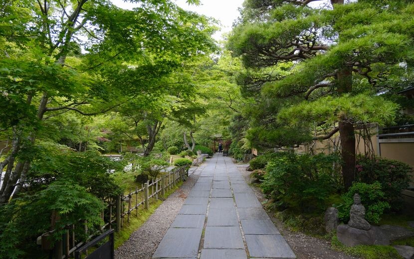 ６月の松島円通院の風景