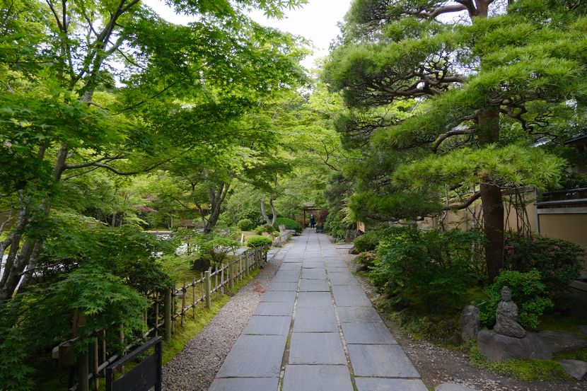 ６月の松島円通院の風景