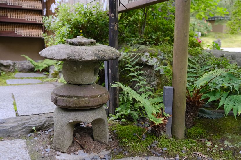 松島円通院の６月の風景写真