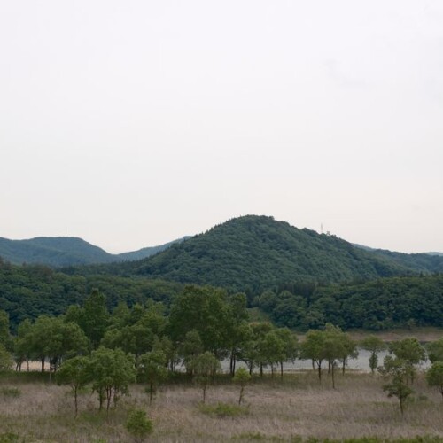 湖底が露出した錦秋湖