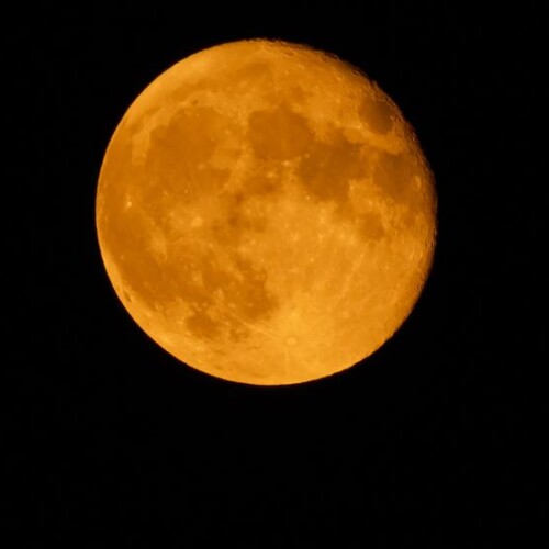 自宅から見た月の写真