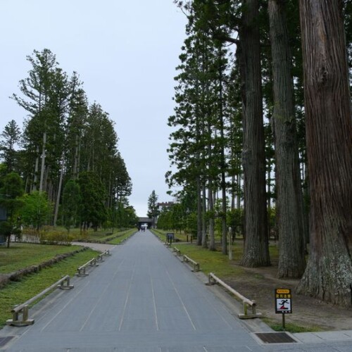 松島瑞巌寺6月の参道の風景