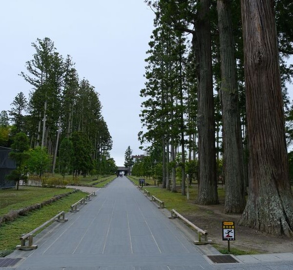 松島瑞巌寺6月の参道の風景