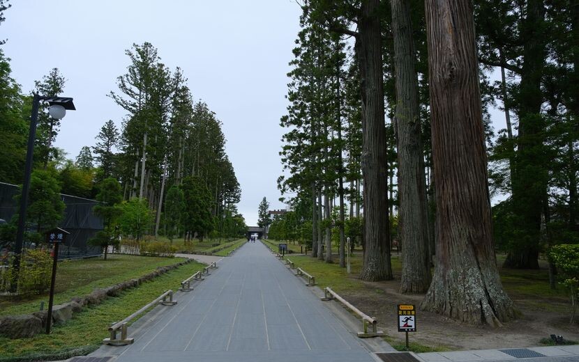 松島瑞巌寺6月の参道の風景