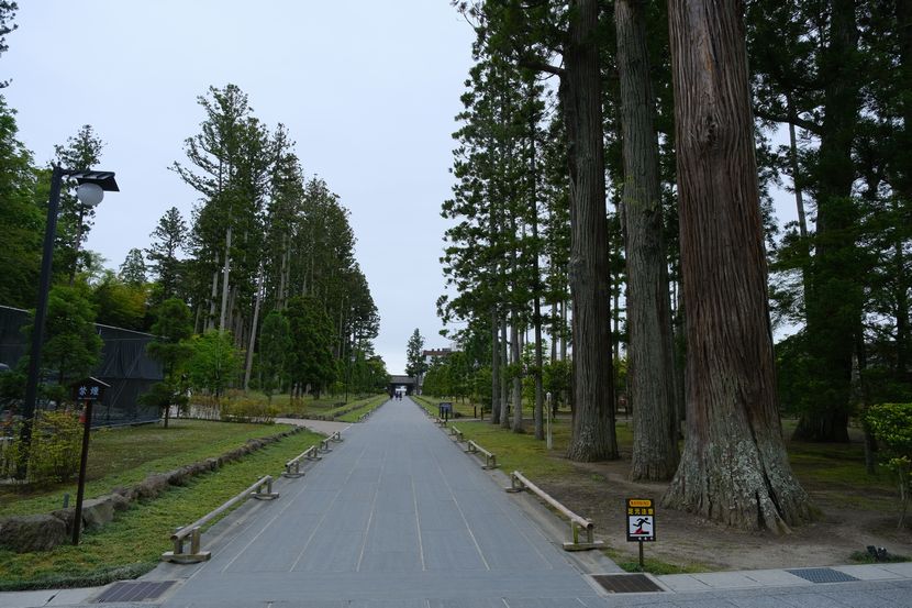 松島瑞巌寺6月の参道の風景