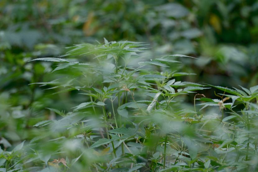 なんでもない風景