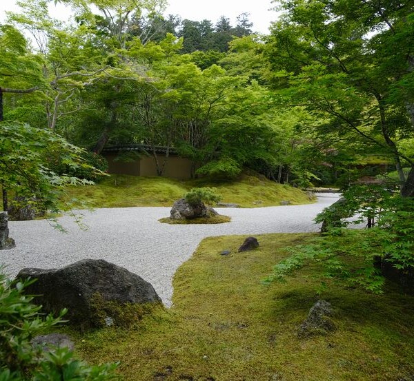松島円通院の６月の風景写真