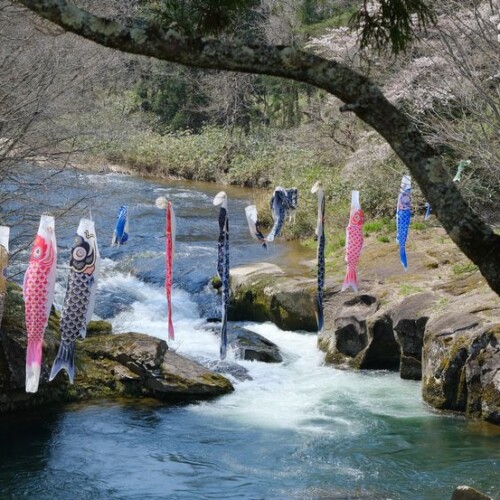 川にかかった鯉のぼり