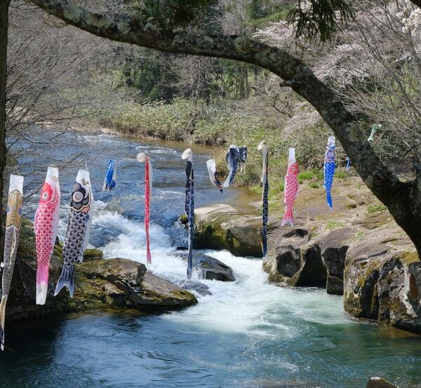川にかかった鯉のぼり