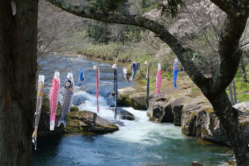 川にかかった鯉のぼり