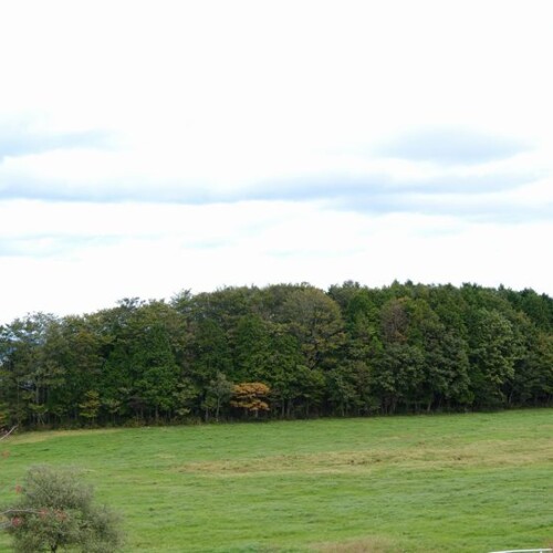 10月の牧場の風景