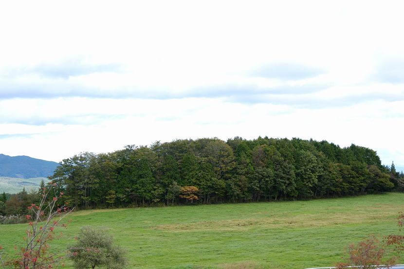10月の牧場の風景