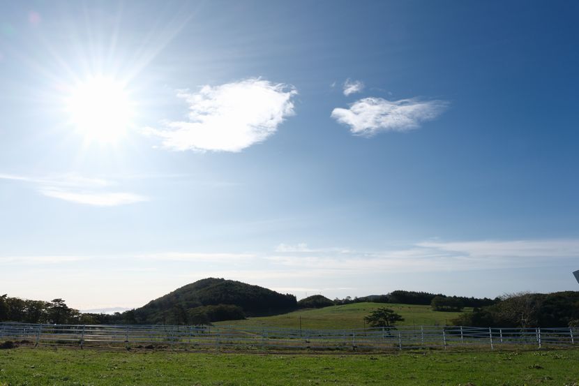 10月のある牧場の風景