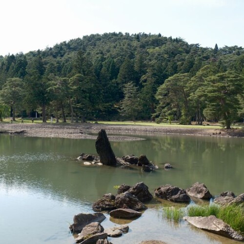 6月の世界遺産毛越寺の大泉ヶ池の風景
