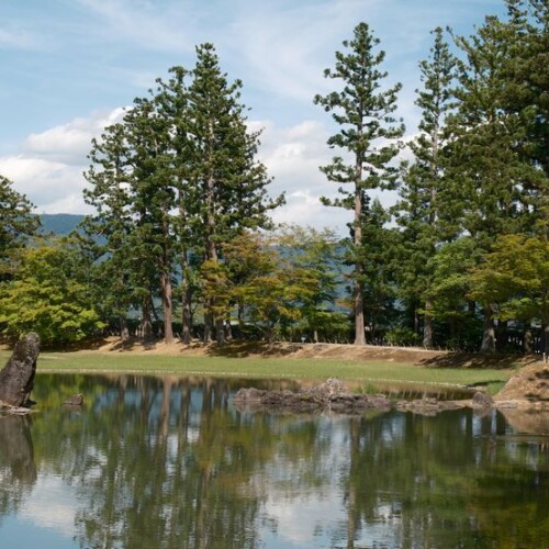 6月の世界遺産毛越寺庭園の風景