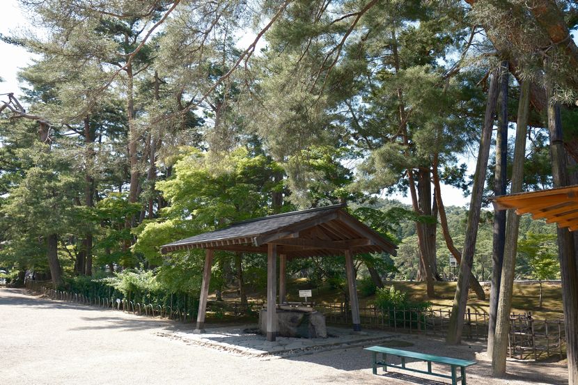 6月の世界遺産毛越寺の風景