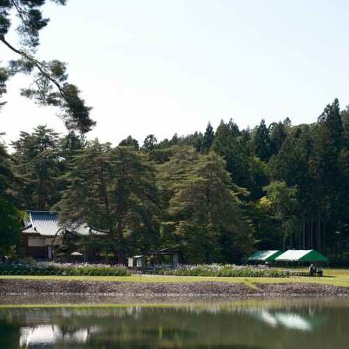 6月の世界遺産毛越寺庭園の風景
