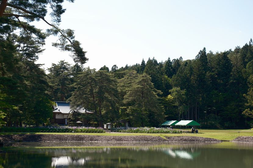 6月の世界遺産毛越寺庭園の風景