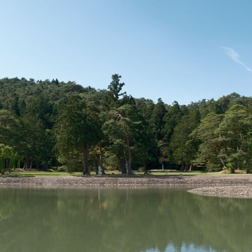 6月の世界遺産毛越寺庭園の風景