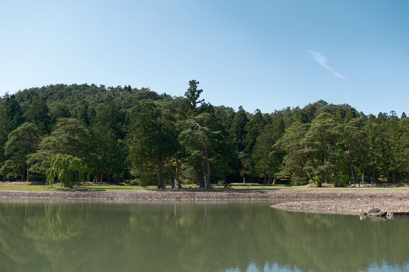6月の世界遺産毛越寺庭園の風景