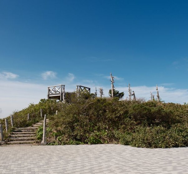 八幡平の展望台の写真