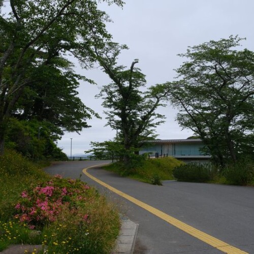 西行戻しの松公園のカフェに通じる道