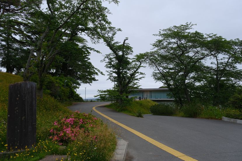 西行戻しの松公園のカフェに通じる道