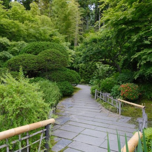 松島円通院の６月の風景