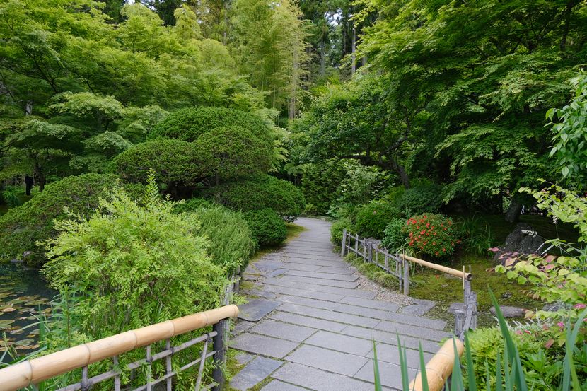 松島円通院の６月の風景