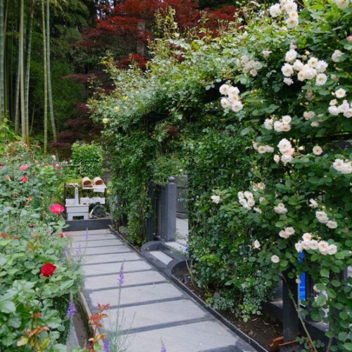 松島円通院のバラ園の風景
