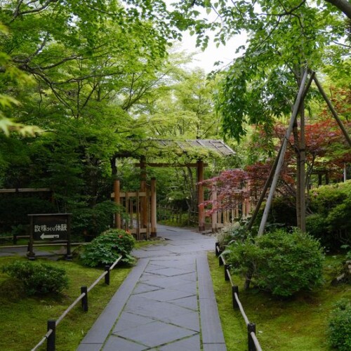 円通院の6月の風景