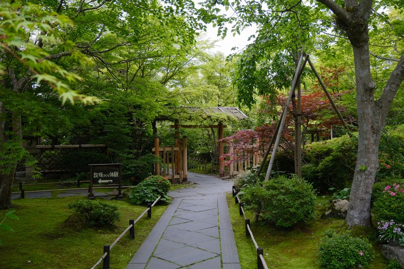 円通院の6月の風景