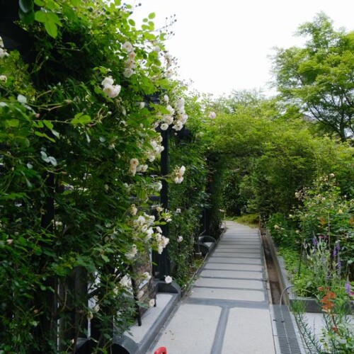 松島円通院のバラ園の風景