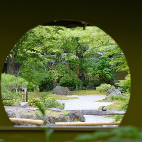 円通院の6月の風景写真