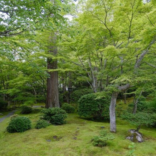円通院の6月の風景
