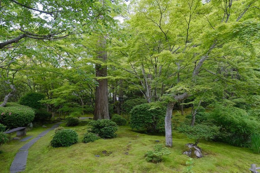 円通院の6月の風景