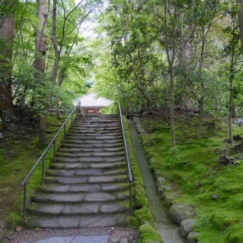 円通院の6月の風景