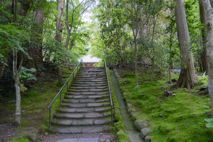 円通院の6月の風景