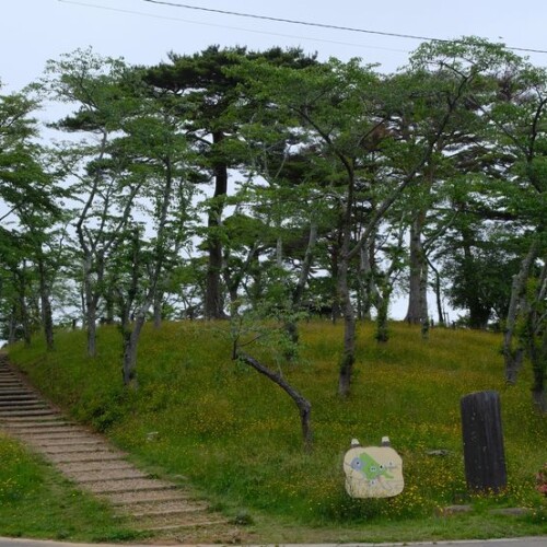 西行戻しの松公園の6月の風景