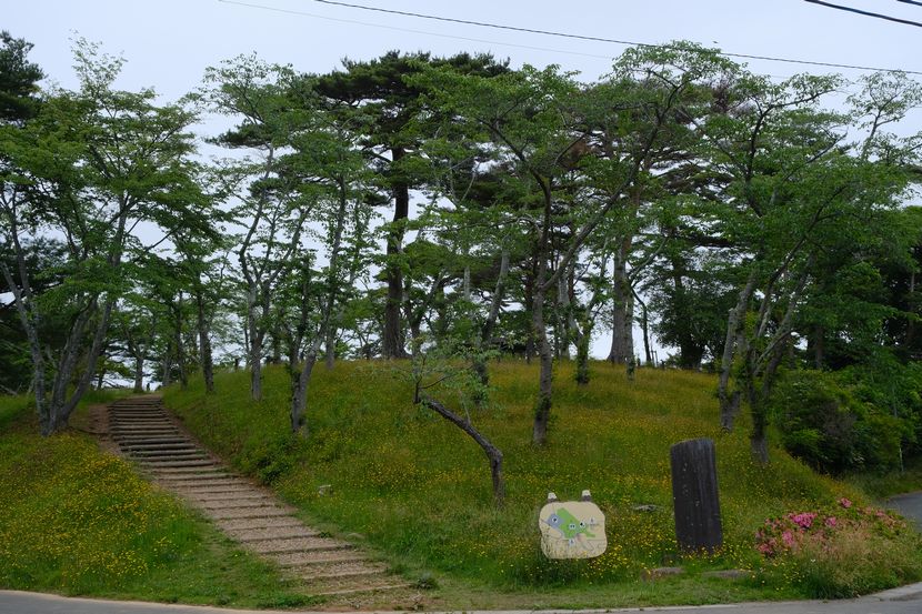 西行戻しの松公園の6月の風景