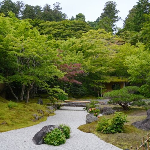円通院の6月の風景