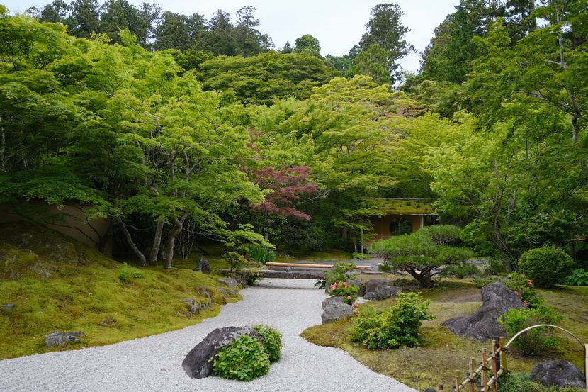 円通院の6月の風景