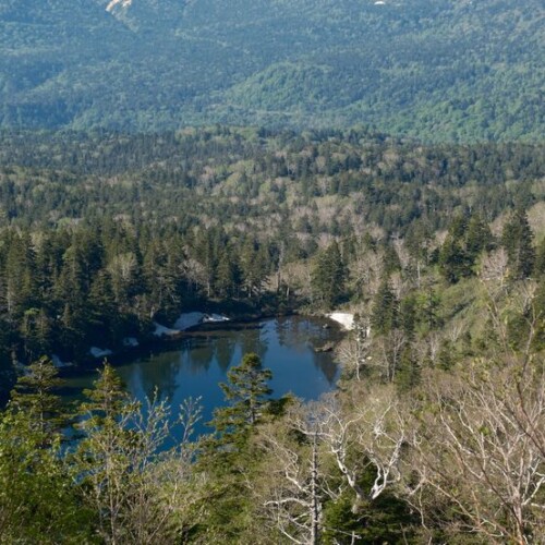 八幡平の池の風景写真