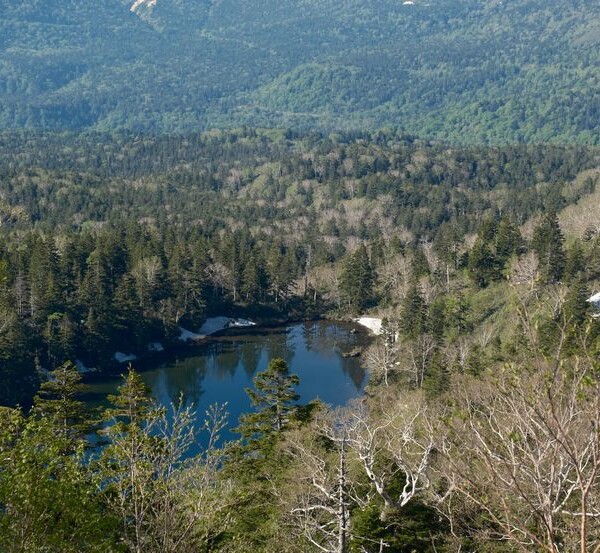 八幡平の池の風景写真