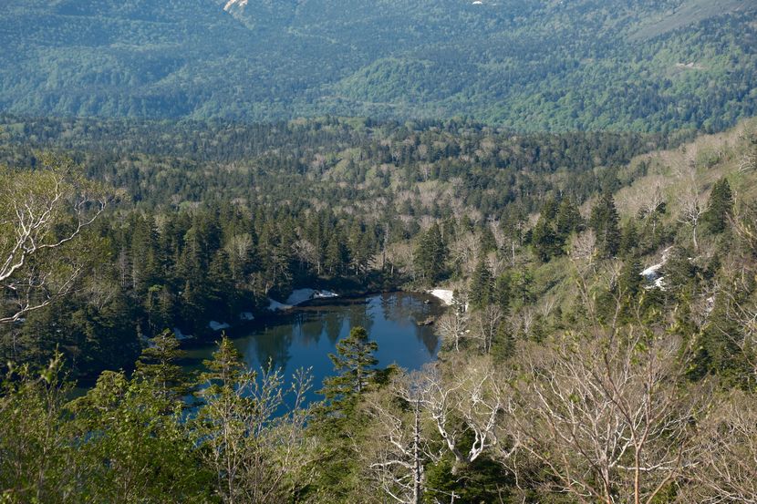 八幡平の池の風景写真