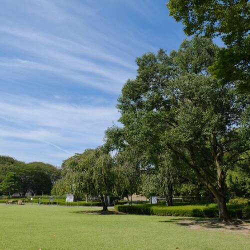 山形城址公園の風景