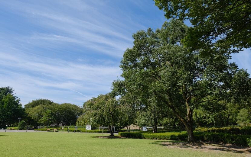 山形城址公園の風景