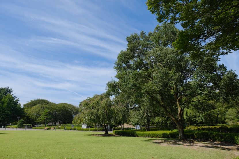 山形城址公園の風景