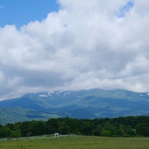 栗駒宇山の7月の風景