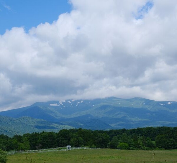栗駒宇山の7月の風景